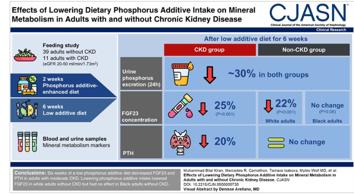 Reducing Dietary Phosphorus Additives Lowers FGF23 and PTH in Adults with CKD