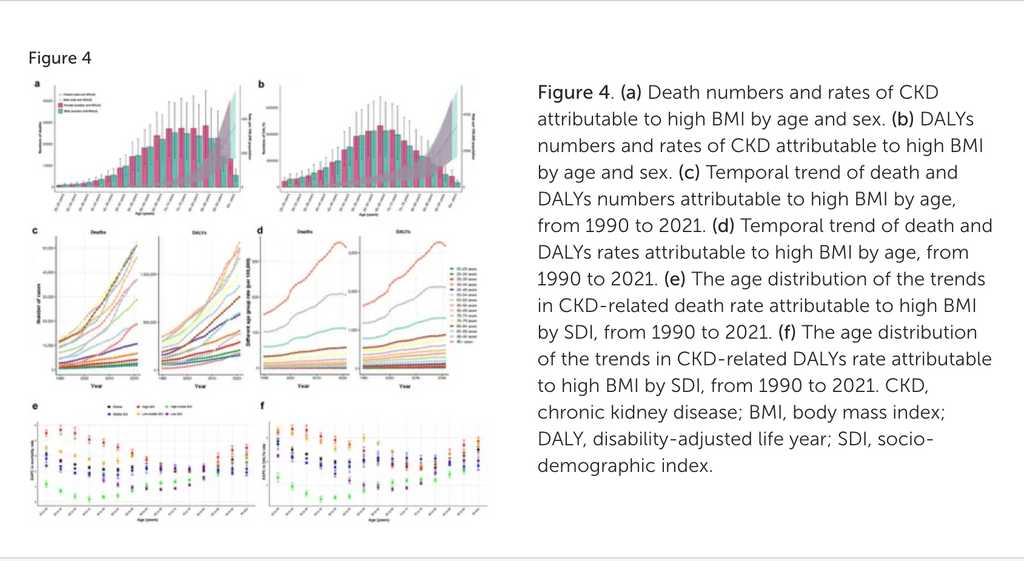 High BMI and Aging Jointly Drive the Rising Global Burden of Chronic Kidney Disease