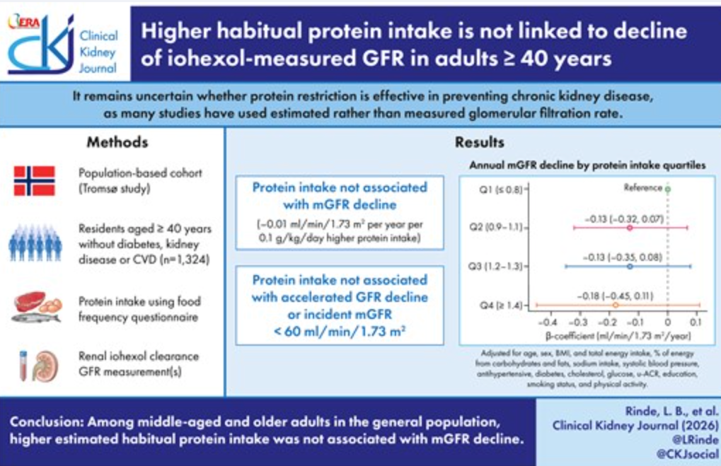 Does a High-Protein Diet Harm Healthy Kidneys?
