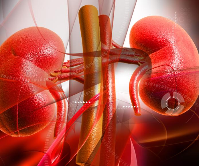 Stage 3 Kidney Disease: What you Need To Know
